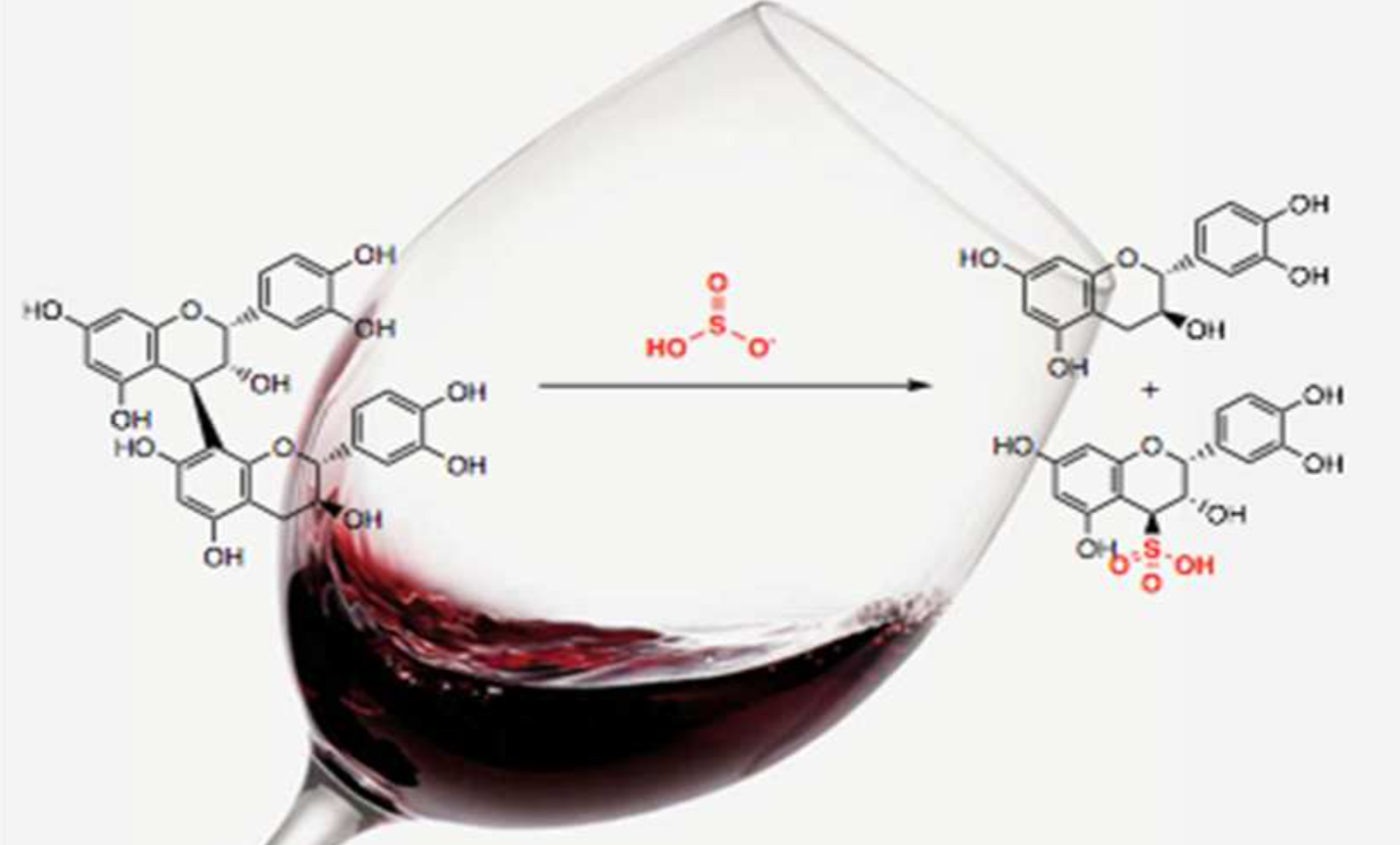 Chemistry Why Aged Red Wines Taste Better American Council on